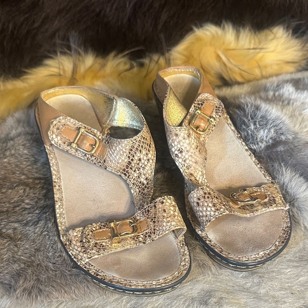 Alegria shoes 38 (3280)
